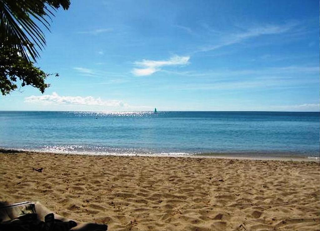 East Winds St. Lucia Hotel Gros Islet Ngoại thất bức ảnh