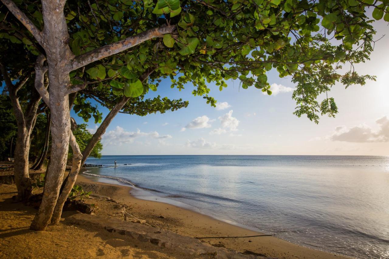 East Winds St. Lucia Hotel Gros Islet Ngoại thất bức ảnh