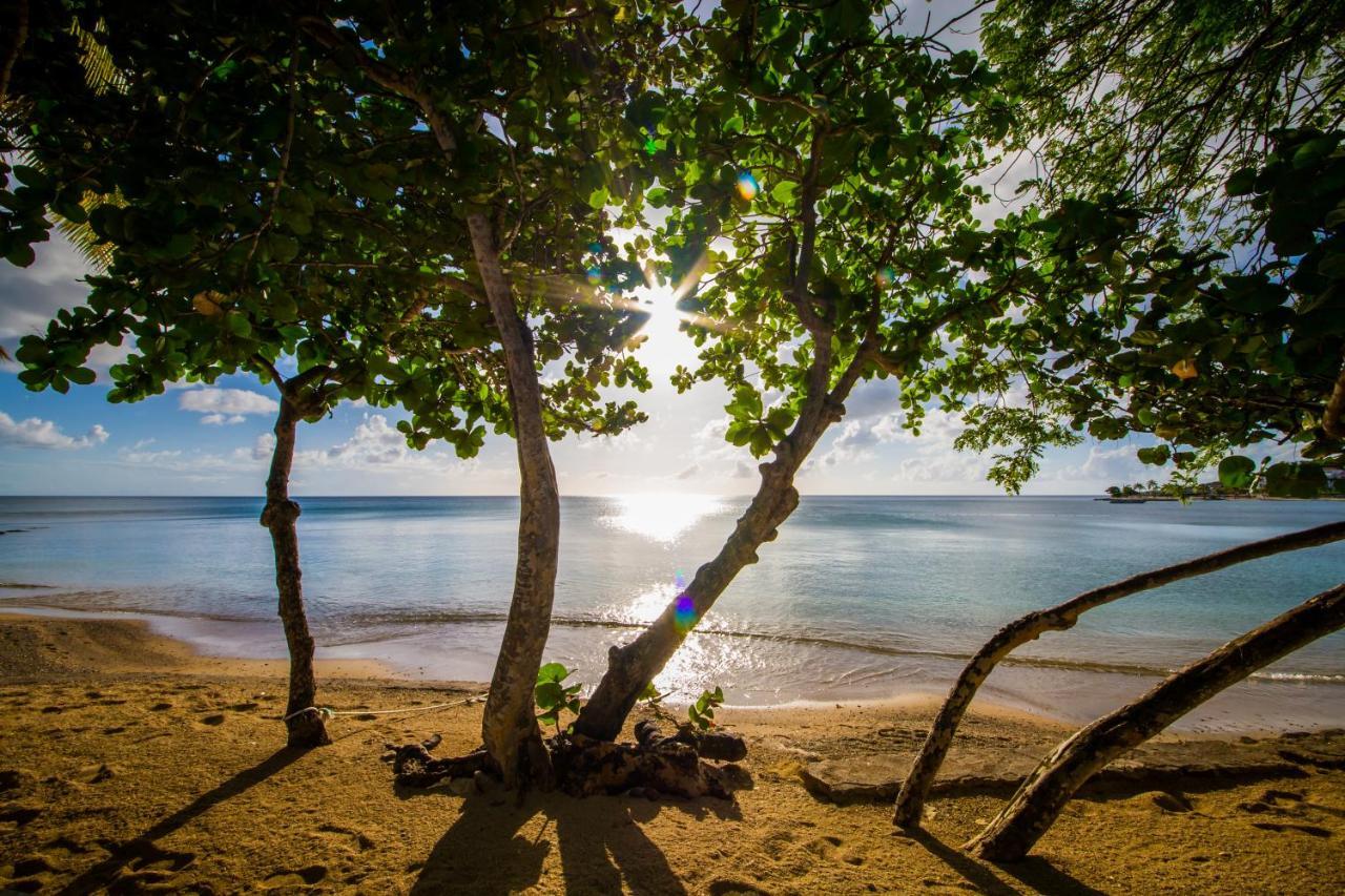East Winds St. Lucia Hotel Gros Islet Ngoại thất bức ảnh